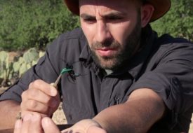 Coyote Peterson Net Worth 2020, Bio, Age, Height